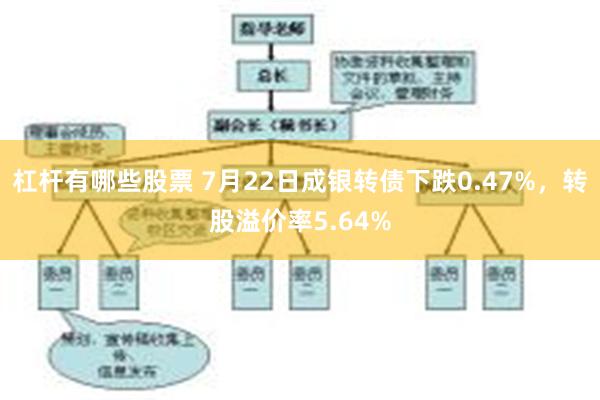 杠杆有哪些股票 7月22日成银转债下跌0.47%，转股溢价率5.64%