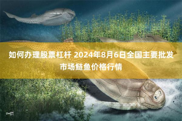 如何办理股票杠杆 2024年8月6日全国主要批发市场鲢鱼价格行情