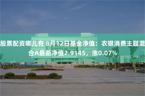 股票配资哪儿有 8月12日基金净值：农银消费主题混合A最新净值2.9145，涨0.07%