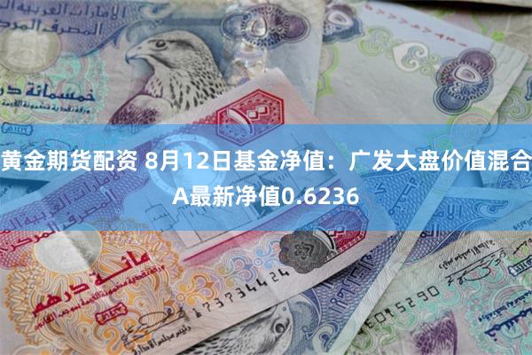 黄金期货配资 8月12日基金净值：广发大盘价值混合A最新净值0.6236