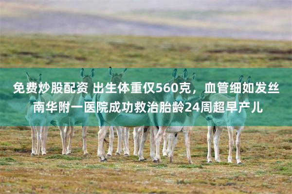 免费炒股配资 出生体重仅560克，血管细如发丝 南华附一医院成功救治胎龄24周超早产儿