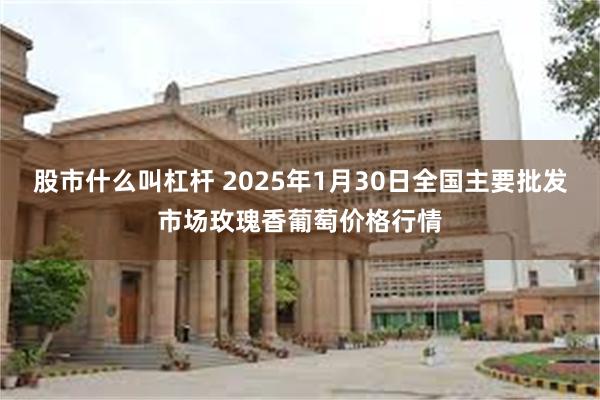 股市什么叫杠杆 2025年1月30日全国主要批发市场玫瑰香葡萄价格行情