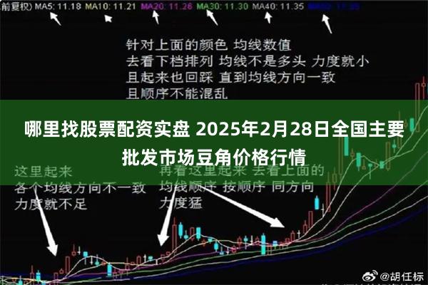 哪里找股票配资实盘 2025年2月28日全国主要批发市场豆角价格行情